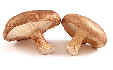 ಅಣಬೆ ಅಬ್ಬರ