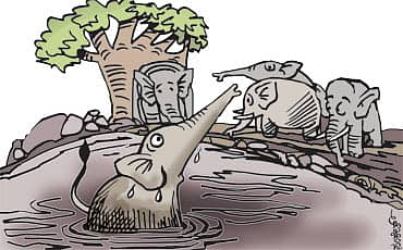 ಆನೆಗಳ ಉಪಾಯ
