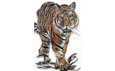 ದಿವಾಕರ ಮ್ಯಾಜಿಕ್