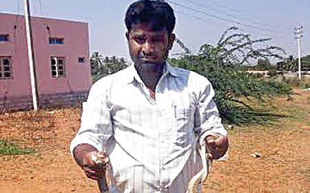 ಸ್ನೇಕ್ ಸಖ