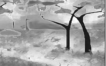 ಹೂ ಸುರಿದ ಹಾದಿ