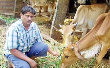 ಸಾವಯವವೇ ಸರಿ