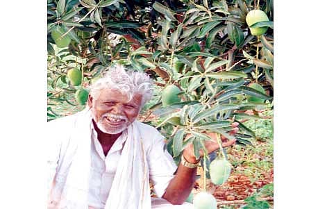 ಭೀಮಣ್ಣನ ಕೃಷಿ ಬಲ