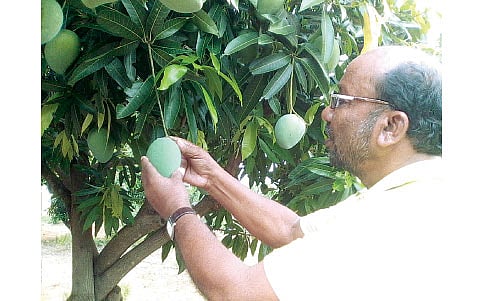 ಪುಣ್ಯಕೋಟಿ ಪಂಡಿತ