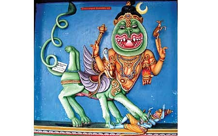 ವಿಚಿತ್ರ ಪ್ರಾಣಿ!