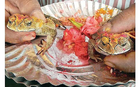 ಮಳೆಮದುವೆ