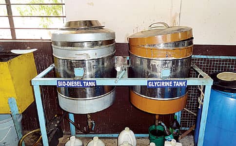 ಹೊಂಗೆ ಹೊನ್ನು