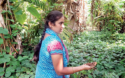 ಜೀವಂತ ಮುಚ್ಚಿಗೆ