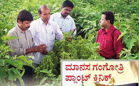 ಸಸ್ಯಕ್ಕೂ ಹಾಸ್ಪಿಟಲ್!