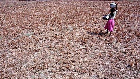 ದೇಶಾದ್ಯಂತ ಮಳೆ ಕೊರತೆ: ಕರ್ನಾಟಕಕ್ಕೆ ಬರ?