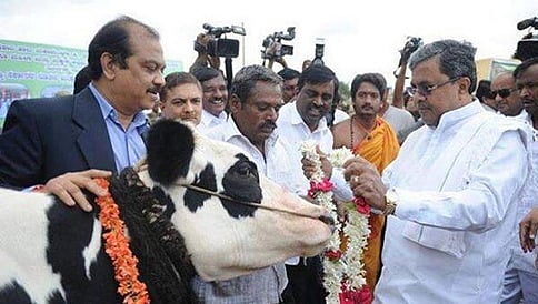 ರಾಜ್ಯದ ರೈತರಿಗೆ ಪಶುಭಾಗ್ಯ ಘೋಷಿಸಿದ ಸಿದ್ದರಾಮಯ್ಯ
