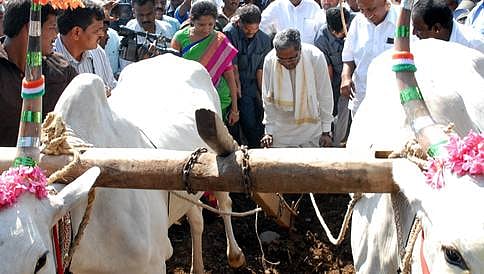 'ರೈತ ದಸರಾ'ಗೆ ಸಿಎಂ ಸಿದ್ದರಾಮಯ್ಯ ಚಾಲನೆ