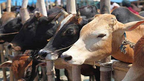 ಹಿಮಾಚಲದಲ್ಲೂ ವ್ಯಕ್ತಿಯ ಹತ್ಯೆ