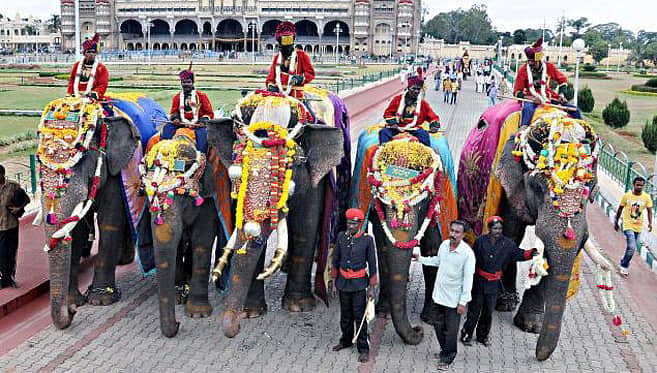 ದಸರಾ ಆನೆಗಳ ತಯಾರಿ ಹೇಗಿರುತ್ತೆ ಗೊತ್ತಾ..?