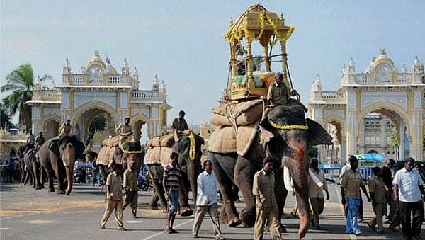 ಜಂಬುಸವಾರಿಯಲ್ಲಿ ಪಾಲ್ಗೊಳ್ಳುವ ಗಜಪಡೆಗೆ ತರಬೇತಿ