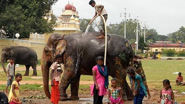 Story image