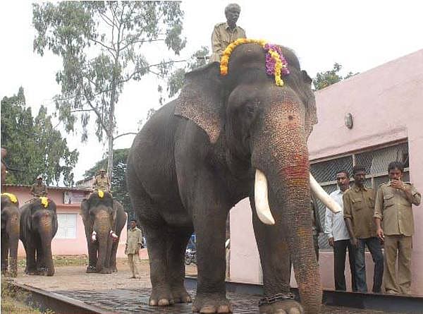 Story image