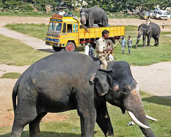Story image