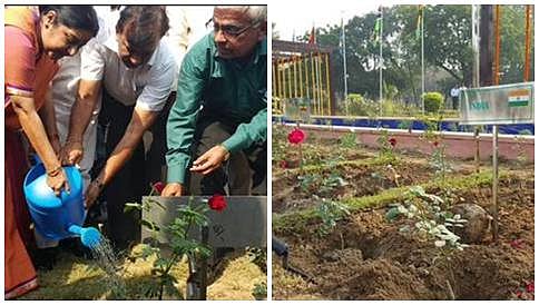 ಭಾರತ-ಆಫ್ರಿಕಾ ಸ್ನೇಹ ಗುಲಾಬಿ ಉದ್ಯಾನವನವನ್ನು ಉದ್ಘಾಟಿಸಿದ ಸುಷ್ಮಾ ಸ್ವರಾಜ್