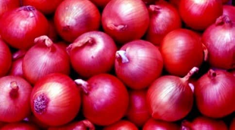 ಈರುಳ್ಳಿ ಬಿಕ್ಕಟ್ಟು: ಈಜಿಪ್ಟ್ ನಿಂದ ೧೮ ಸಾವಿರ ಟನ್ ಆಮದು