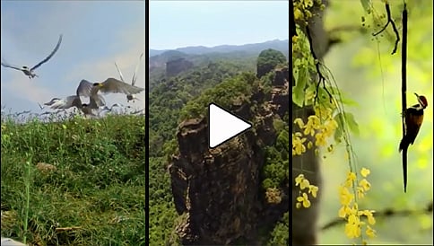 ಚೆಂದದ ನುಡಿ ಕನ್ನಡ-ಗಂಧದಗುಡಿ ಕರ್ನಾಟಕ