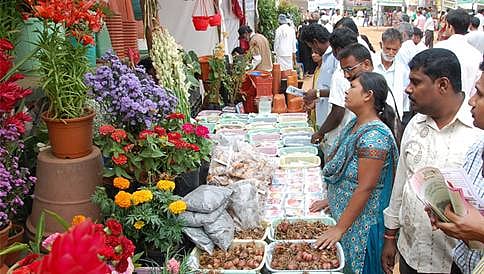 ನಾಳೆಯಿಂದ ಕೃಷಿ ಮೇಳ