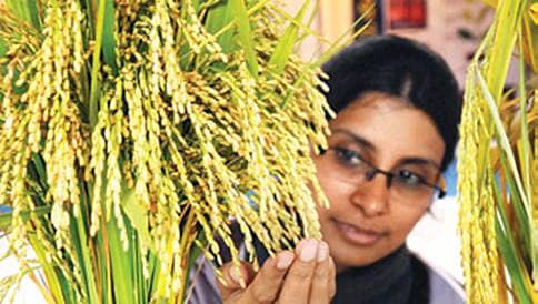 ಬೆಳೆ ಚೆಲ್ಲಿದಾಗ ಎಲ್ಲಿರುತ್ತೆ ಸರ್ಕಾರ?
