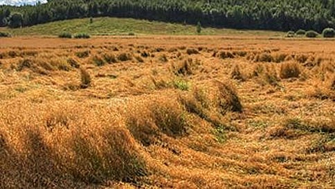ಮಳೆ ಅವಾಂತರ: ರು.20 ಸಾವಿರ ಕೋಟಿ ನಷ್ಟ
