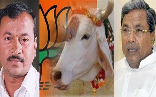 <b>ಚನ್ನಬಸಪ್ಪ, ಶಿವಮೊಗ್ಗ ಬಿಜೆಪಿ ಮುಖಂಡ: </b>ಗೋ ಮಾಂಸ ತಿನ್ನುತ್ತೇನೆ ಎಂದು ಹೇಳಿರುವ ಮುಖ್ಯಮಂತ್ರಿಯವರು ತಾಕತ್ತಿದ್ದರೆ ಶಿವಮೊಗ್ಗದ ಗೋಪಿ ವೃತ್ತಕ್ಕೆ ಬಂದು ದನದ ಮಾಂಸ ತಿಂದು ನೋಡಲಿ. ಗೋಮಾತೆಯ ಕುತ್ತಿಗೆಗೆ ಕೈ ಹಾಕುತ್ತೀರಾ ನೀವು? ಗೋಮಾಂಸವನ್ನು ತಿನ್ನುತ್ತೀನಿ ಎಂದು ರಾಜಾರೋಷವಾಗಿ ಹೇಳಿಕೆ ನೀಡುವ ಮುಖ್ಯ