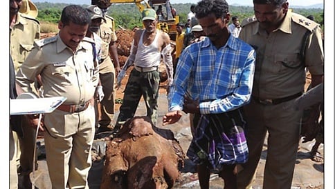 ಮಧ್ಯರಾತ್ರಿವರೆಗೆ ಆನೆಯ ಶವ ಕತ್ತರಿಸಿದ್ದ!