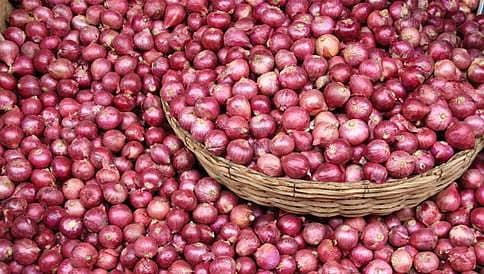 ಕುಸಿದ ಈರುಳ್ಳಿ ರಫ್ತು