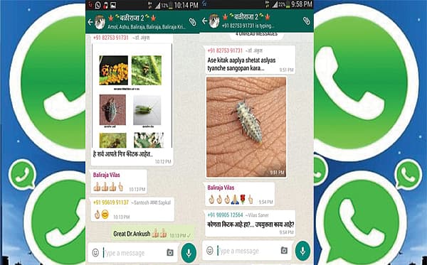<div><b>ಬಲಿರಾಜಾ ಎಂಬ ಕೃಷಿಕರ ವಾಟ್ಸಾಪ್ ಗ್ರೂಪ್ </b></div><div><br></div><div>ಮಹಾರಾಷ್ಟ್ರದ ಹಳ್ಳಿಯ ಕೃಷಿಕರು ಬಲಿರಾಜಾ ಎಂಬ ವಾಟ್ಸಾಪ್ ಗ್ರೂಪ್ ಸೃಷ್ಟಿಸಿದ್ದಾರೆ. . ಈ ಗ್ರೂಪ್ಲ್ಲಿ ಸುಮಾರು 400 ಕೃಷಿಕರಿದ್ದು, ಕೃಷಿ ಸಮಸ್ಯೆಗಳು, ಪರಿಹಾರಗಳು ಹಾಗೂ ಹೊಸ ಬೆಳೆಗಳ ಬಗ್ಗೆ ಚರ್ಚೆ ನಡೆಯುತ