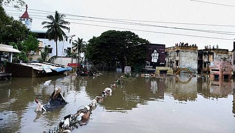 ಚೆನ್ನೈನಲ್ಲಿ ಸಿಲುಕಿಕೊಂಡ ಹುಣಸೂರಿನ ಟೆಕ್ಕಿ