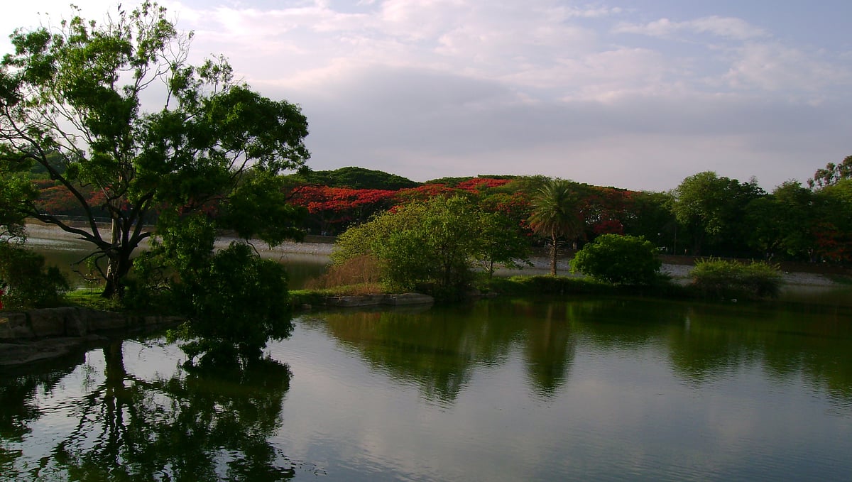 ಕೆರೆ ರಕ್ಷಣೆಗೆ ವಿನೂತನ ಹಬ್ಬ