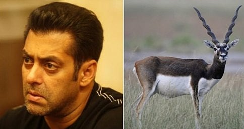 ಕೃಷ್ಣಮೃಗ ಗಣತಿಗೆ ಸಲ್ಮಾನ್ ಖಾನ್ ಗೆ ಆಹ್ವಾನ