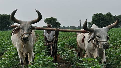 ರೈತರ ಅಭ್ಯುದಯಕ್ಕೆ ಕೇಂದ್ರ ಸರ್ಕಾರ ಬದ್ಧ: ಜೇಟ್ಲಿ