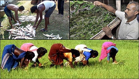 ರಾಜ್ಯ ಬಜೆಟ್ 2015- ಕೃಷಿ ಕ್ಷೇತ್ರಕ್ಕೆ ಏನೇನು..?