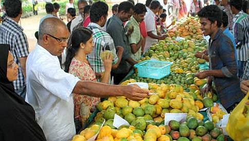 ಮಾವು, ಹಲಸಿನ ಮೇಳ ಶುರು
