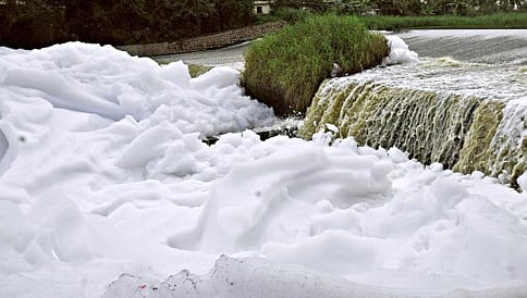 ಬೆಳ್ಳಂದೂರು ಕೆರೆ ಸ್ವಚ್ಛತೆಗೆ ಇಎಂ-1 ಬ್ಯಾಕ್ಟೀರಿಯಾ