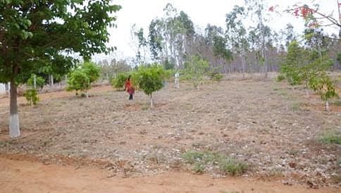 ಭೂ ರಕ್ಷಣೆಗೆ ಕೋರ್ಟ್