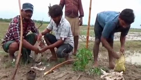 ಆಂಧ್ರಪ್ರದೇಶದಲ್ಲಿ ಮೀನು ಮಳೆ..!