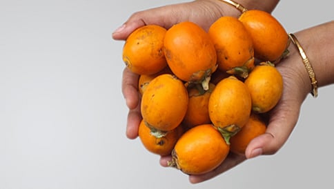 ಅಡಕೆ ಆಮದಿಗೆ ನಿಯಂತ್ರಣ