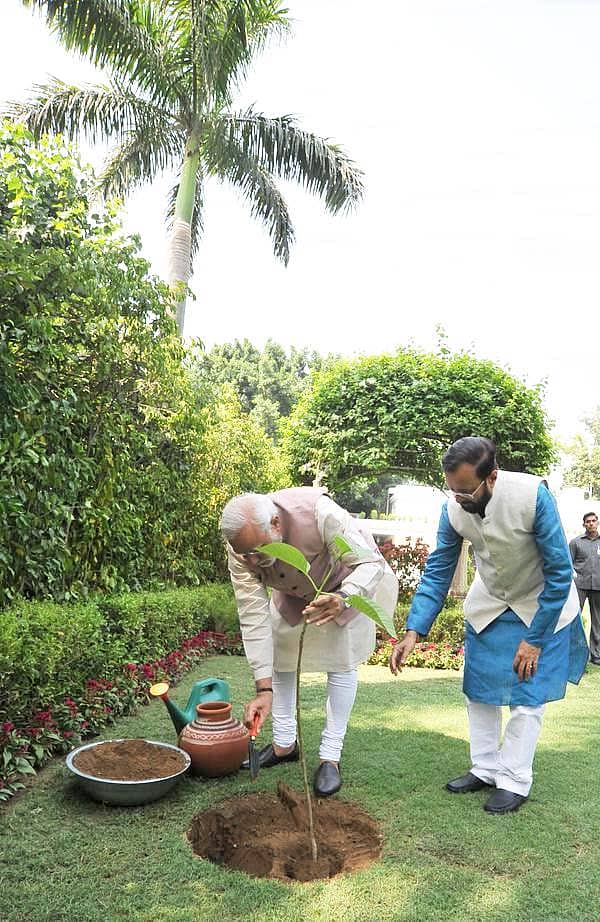 ವಿಶ್ವ ಪರಿಸರ ದಿನ: ಸಸಿ ನೆಟ್ಟ ಪ್ರಧಾನಿ ಮೋದಿ