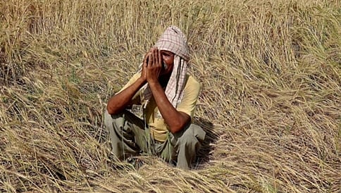 ಇನ್ನೂ ಆರು ರೈತರ ಆತ್ಮಹತ್ಯೆ