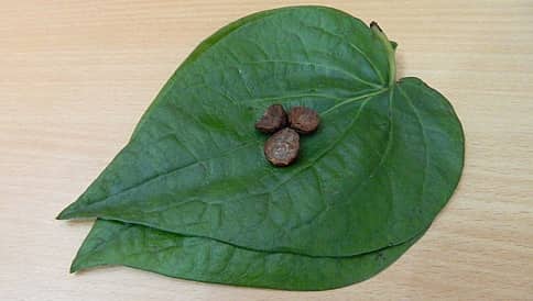 ಶೀತ, ಕಫಾಗೆ ರಾಮಬಾಣ ವೀಳ್ಯದೆಲೆ