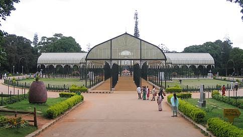 ಲಾಲ್‍ಬಾಗ್ ಹೆಜ್ಜೇನು ಗೂಡುಗಳ ಸ್ಥಳಾಂತರ ಇಂದು