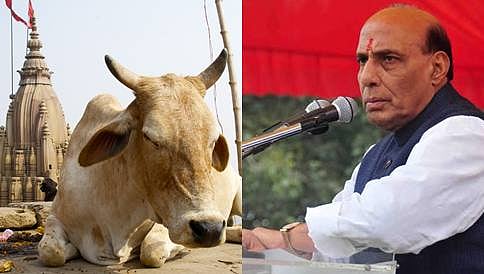 ಭಾರತದಲ್ಲಿ ಸ್ವಾತಂತ್ರ್ಯ ಹೋರಾಟವಾಗಲು ಪ್ರಮುಖ ಕಾರಣ ಗೋಹತ್ಯೆ: ರಾಜನಾಥ್ ಸಿಂಗ್