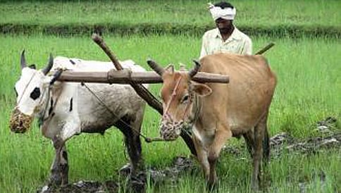ರೈತರಿಗೆ ಆತಂಕ ಬೇಡ