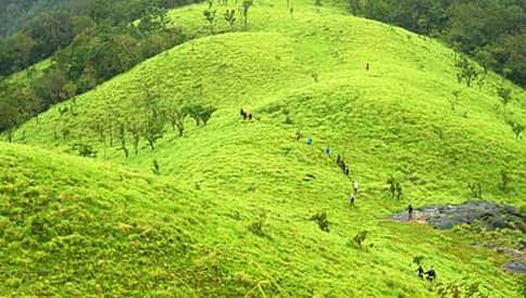 ಕಸ್ತೂರಿರಂಗನ್ ವರದಿ ಪರಿಷ್ಕರಿಸಿ ಜಾರಿಗೆ ಶಿಫಾರಸು