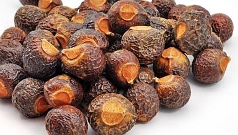 ಬಹುಪಯೋಗಿ ಅಂಟುವಾಳಕಾಯಿ